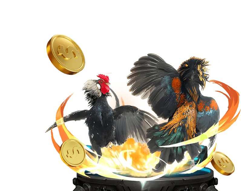 Các tính năng của ứng dụng đá gà cựa sắt thomo